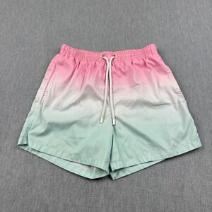 Zara Shorts Mens Medium Pink Green Ombre Elastic Waist Drawstring‎ Mesh Swim